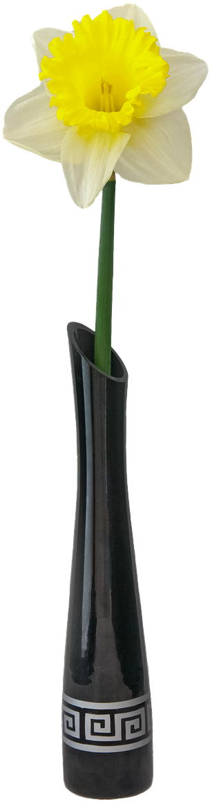 Florero Con Flor Png (850x1280), Png Download