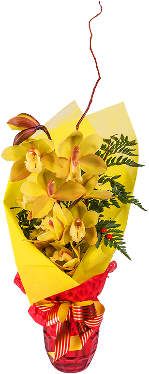 Beautiful Exotic Flower Arrangement - Flower (800x800), Png Download