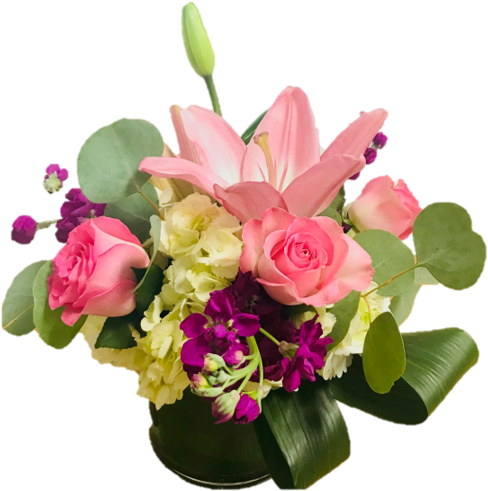 Classic Beauty - Floral Dimensions (540x720), Png Download