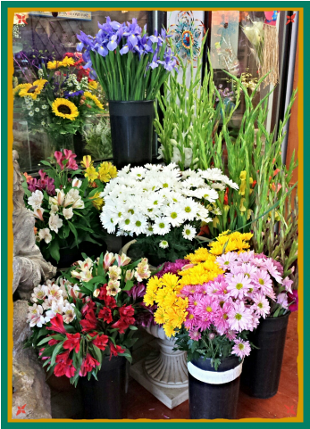 Jacques Flower Shop - Bouquet (480x480), Png Download