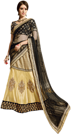 Women Banarasi Lehenga Choli - Lehenga (340x510), Png Download