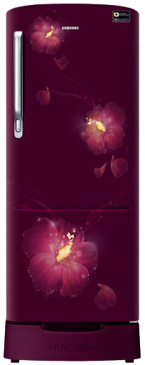 Fridge - Rr20n182zr3 Hl (600x600), Png Download