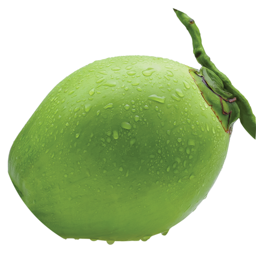 Related Wallpapers - Tender Coconut Png (500x500), Png Download