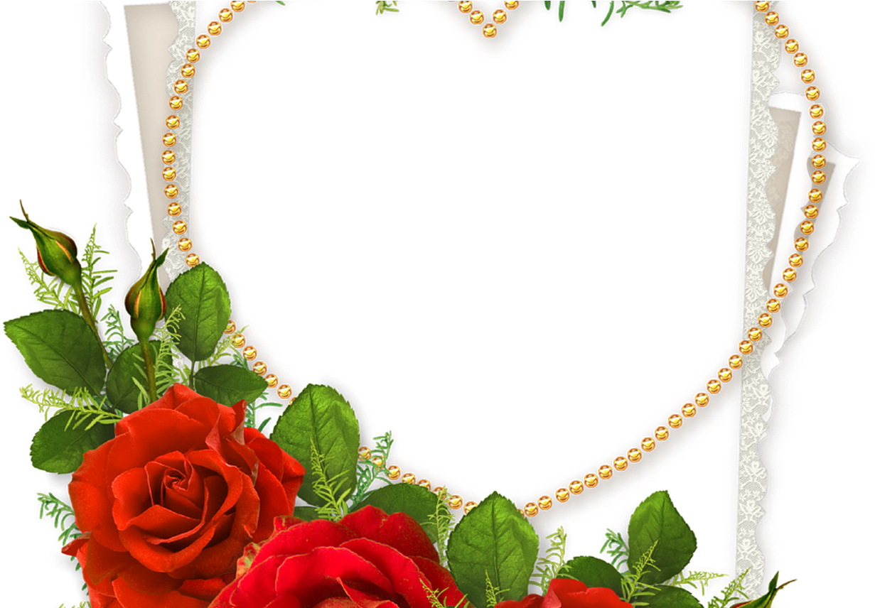Heart Shaped Photo Frame With Doves And Red Roses Crafts - Flowers Red Rose Frame (1368x855), Png Download