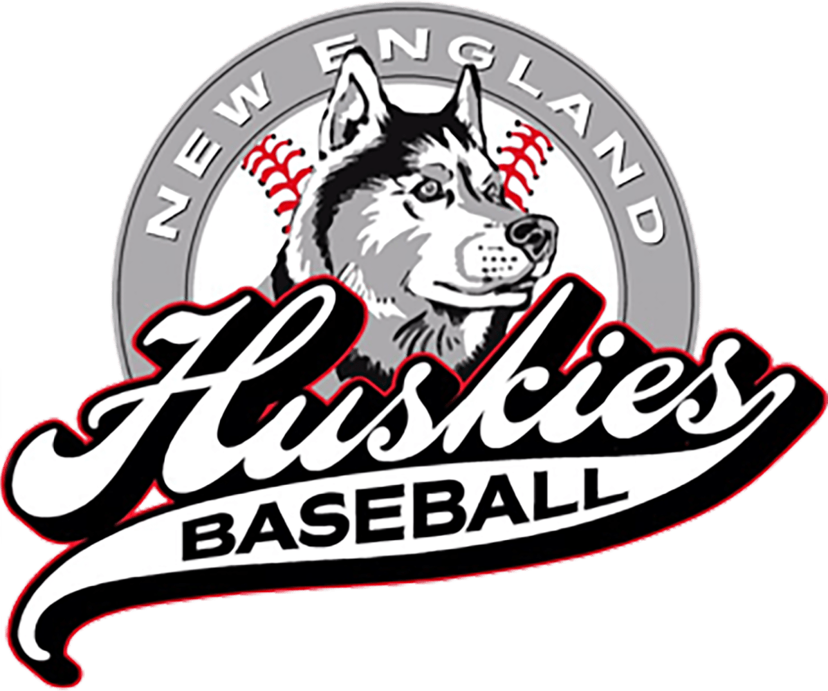 Huskies Baseball Logo (1197x999), Png Download