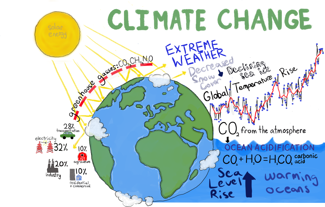 Climate Change Has Both Environmental And Economic - Environmental Issue Map Climate Change (1400x1000), Png Download
