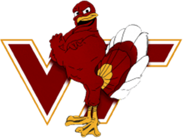 Did You Know - Va Tech Hokie Logo (600x600), Png Download