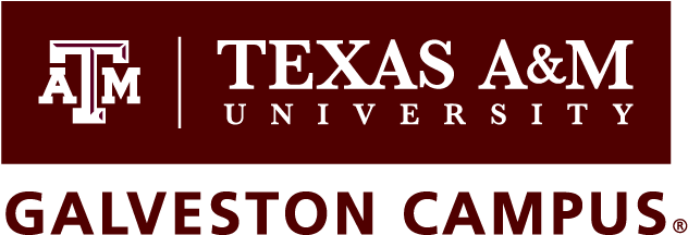 Primary Logo Print - Texas A&m (650x235), Png Download