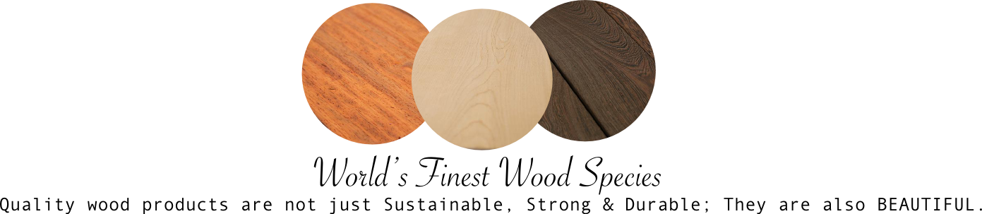 Wood (1391x303), Png Download
