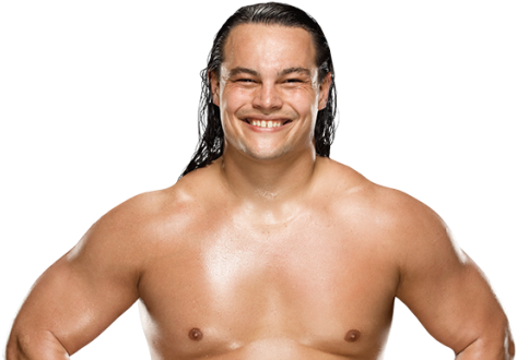 Daniel Bryan Vs - Wwe Scott Dawson Png (480x348), Png Download