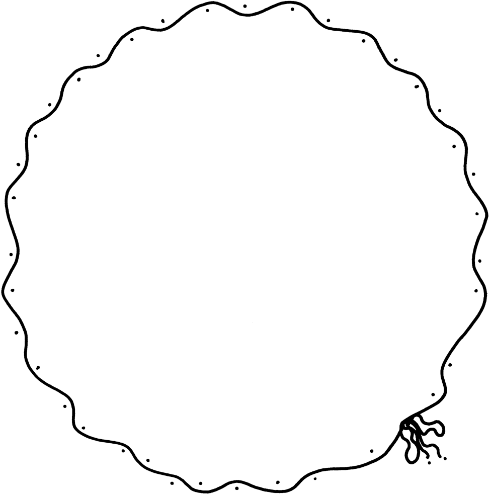 Border Circle Shape Png (1004x1024), Png Download
