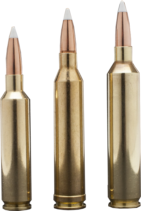 Precision Manufactured Match Grade Rifle Brass That - Brass (520x773), Png Download