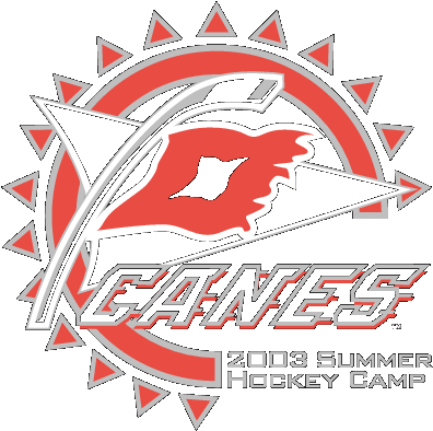 Carolina Hurricanes - Emblem (414x412), Png Download