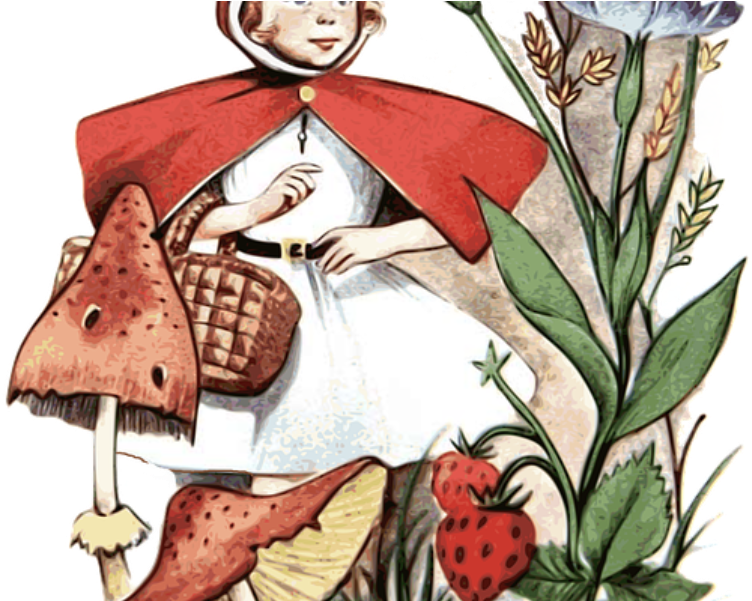 Little Red Riding Hood - Fiabe Storte. C'era Una Volta A Pisa... (800x600), Png Download