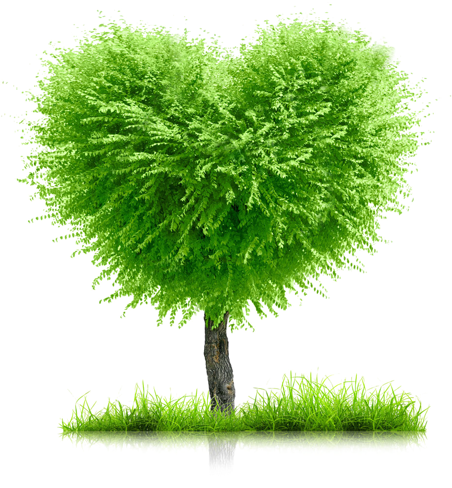 Heart Tree Earth Month, Earth Day, Green Life, Go Green, - Heart Shape Family Tree (1050x1050), Png Download