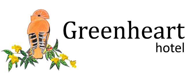 Welkom Bij Het Greenheart Hotel - El Gran Libro Del Tarot By Emilio Salas (977x250), Png Download