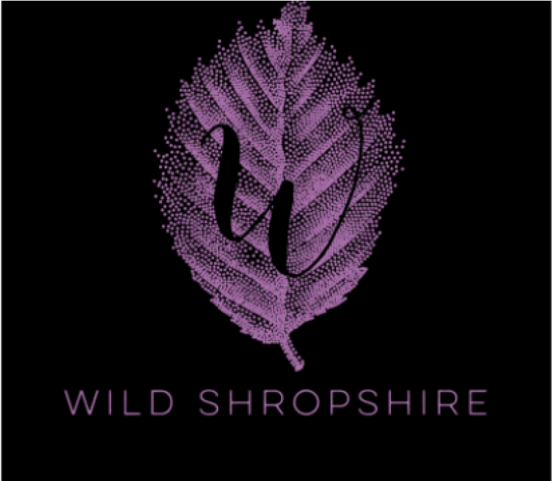 From Our Chef - Emblem (2000x700), Png Download