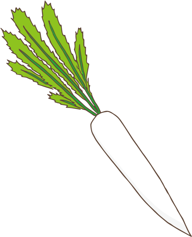 Japanese Radish - Clip Art (842x842), Png Download