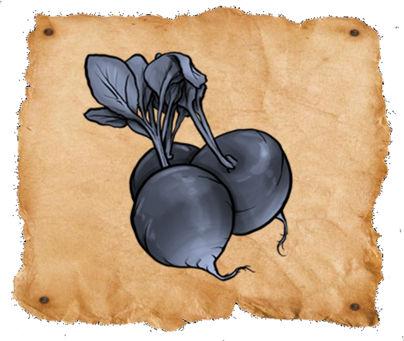 Fangberries And Moon Radishes - Radish (816x695), Png Download