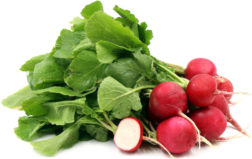 Organic Red Radish - Radish Png (500x500), Png Download