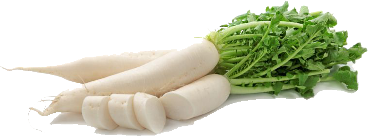 Radish - White - ترب برای سنگ کلیه (763x475), Png Download