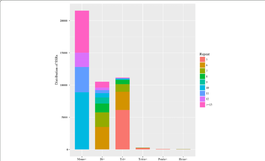Distribution Of Microsatellites With Different Motif - Diagram (850x518), Png Download
