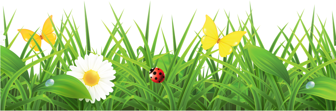 Easter Favs At Wee Chic - Grass With Flowers Png Hd (1170x420), Png Download