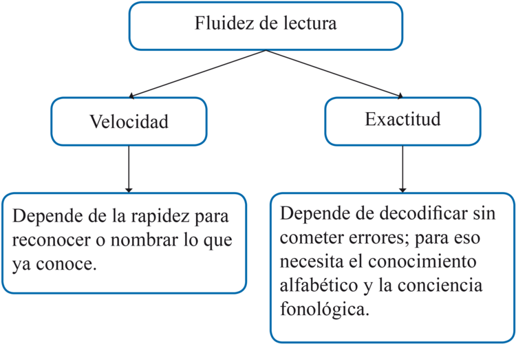 Cuadros El Tesoro Lectur Inicial 1 - Professions (800x509), Png Download