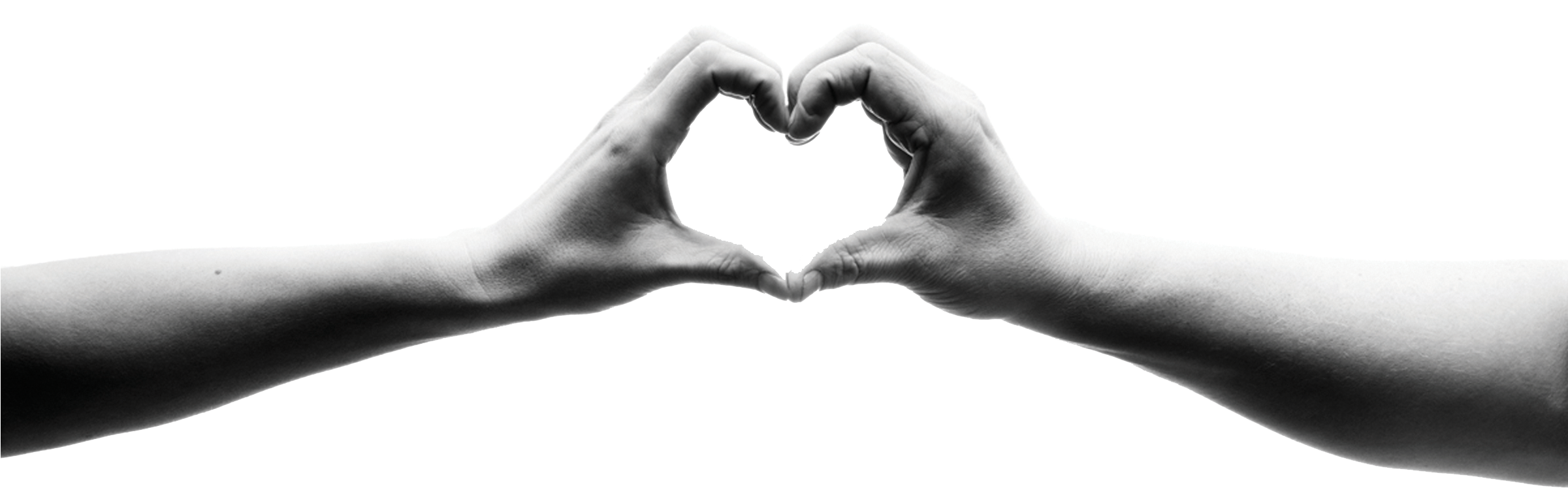 Azienda Agricola Sukula Is A Boutique Winery Producing - Hand (2400x1070), Png Download