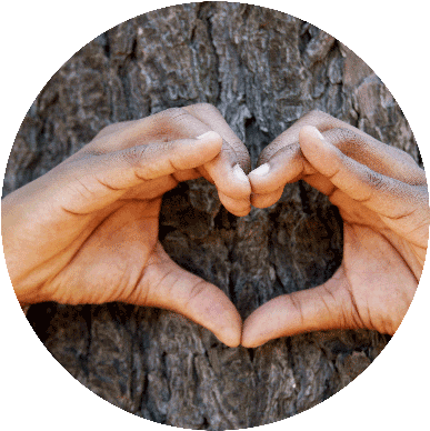 Original Size Is 400 × 397 Pixels - Trunk (400x397), Png Download