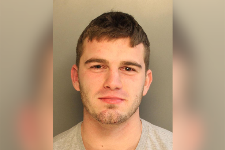 Man Arrested After Punching Police Horse - Taylor Hendricks (735x490), Png Download