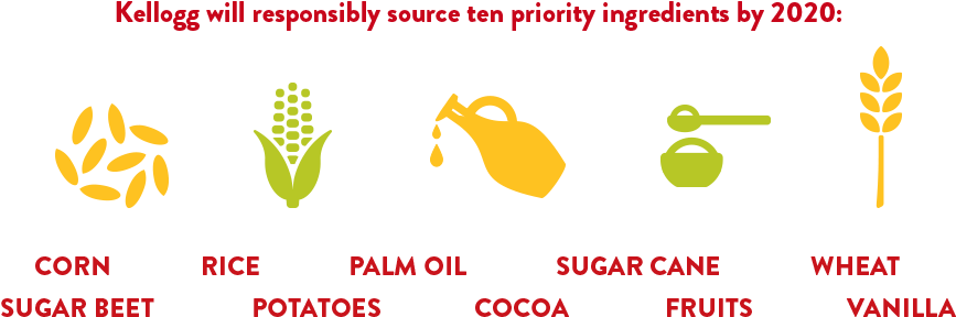 Kellogg Will Responsibly Source Ten Priority Ingredients - Kellogg's Sustainability (898x335), Png Download