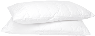 Larger Imagemove Mouse Over The Image To Magnify - Pillow (550x366), Png Download