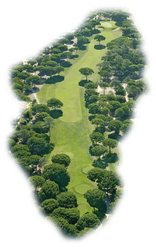 Pinhal Golf Course - Aerial View Tree Png (320x520), Png Download