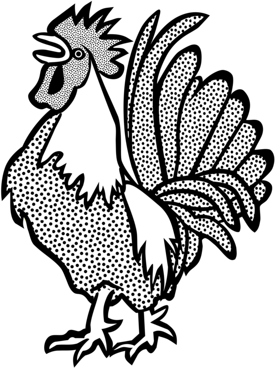 Rooster Hamburg Chicken Sticker Black And White Coloring - Dont Be A Cock Sucker Decal (703x750), Png Download