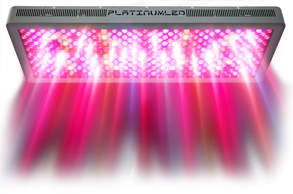 Led Grow Lights - Pink Lights Transparent (960x636), Png Download