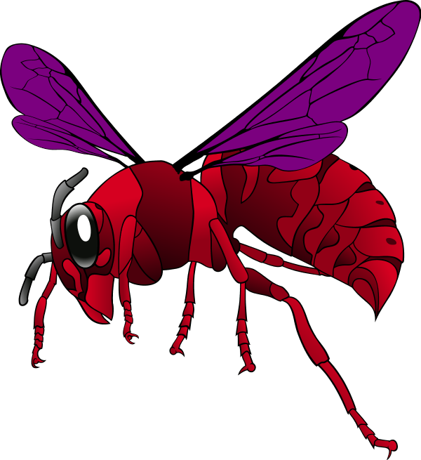 Hornet Clipart Red - Hornet Clipart (600x655), Png Download