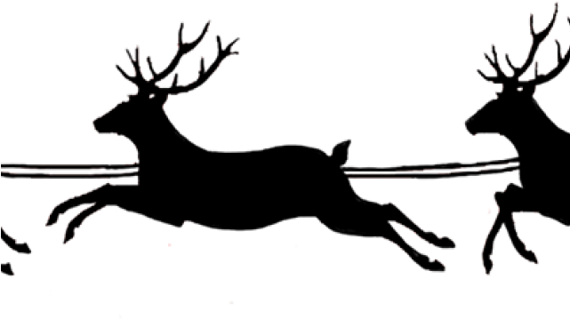 Reindeer (640x480), Png Download