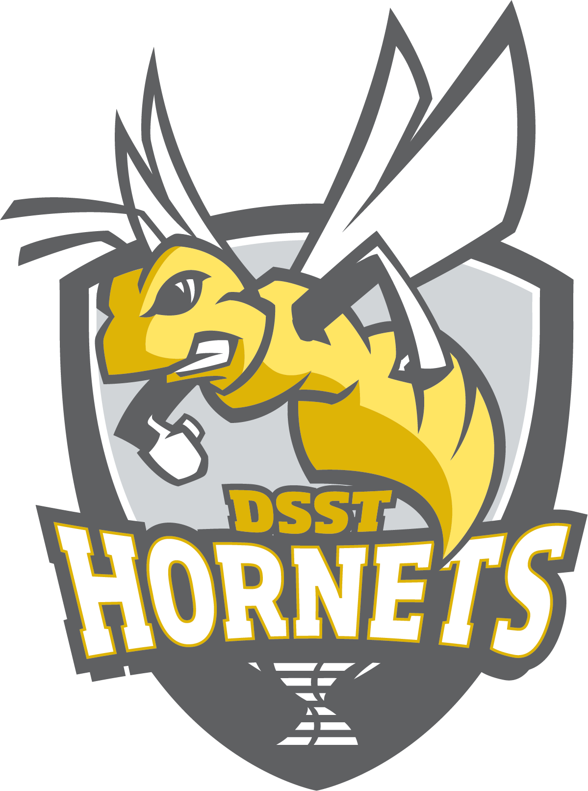 Conservatory Green Middle School - Dsst Conservatory Green High School Logo (1199x1612), Png Download