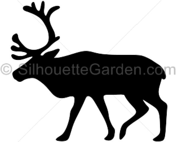 Reindeer Silhouette (640x480), Png Download
