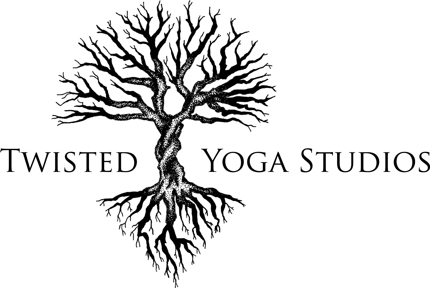 Home Of Twisted Aerial Yoga - Twisted Tree Logo (2035x1401), Png Download