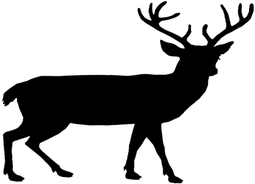 Red Deer - Deer Png (496x359), Png Download