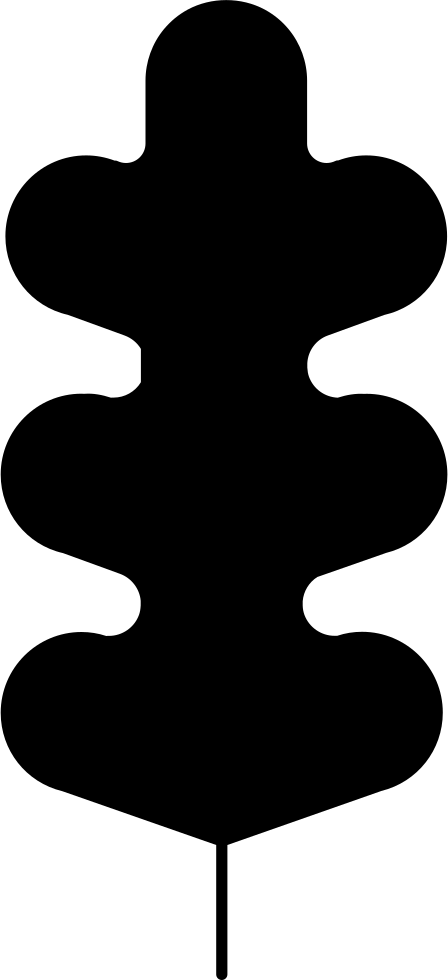 Plant Leaf With Irregular Curves Comments - Silhouette (448x980), Png Download