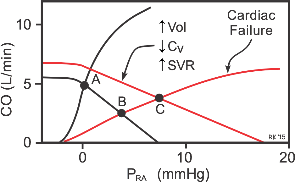 Cardiac And Systemic Vascular Function Curves - Heart Failure Cardiac Function Curve (956x587), Png Download