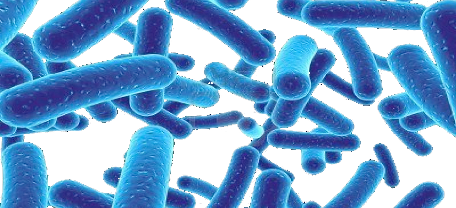 Germs - Probiotic How To Use Probiotics To Get Rid Of Cancer, (940x430), Png Download