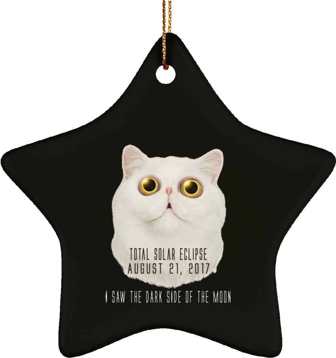 Christmas Tree Decorations - Science Is Like Magic But Real Solar Eclipse Hoodies (1155x1155), Png Download
