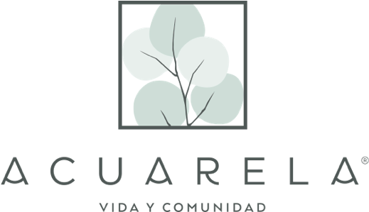 Guadalajara (527x307), Png Download