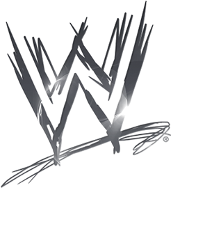 Wwe: Best Of Raw After The Show [blu-ray] (500x364), Png Download