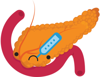 Pancreas - Pancreas Clip Art (480x252), Png Download