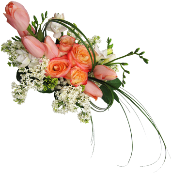 The New Owners Seray Diep And Daniel Yee Are Proud - Floral Arrangements Png (480x360), Png Download